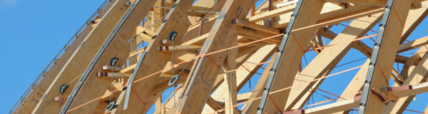 Dlubal Newsletter-banner timber structure